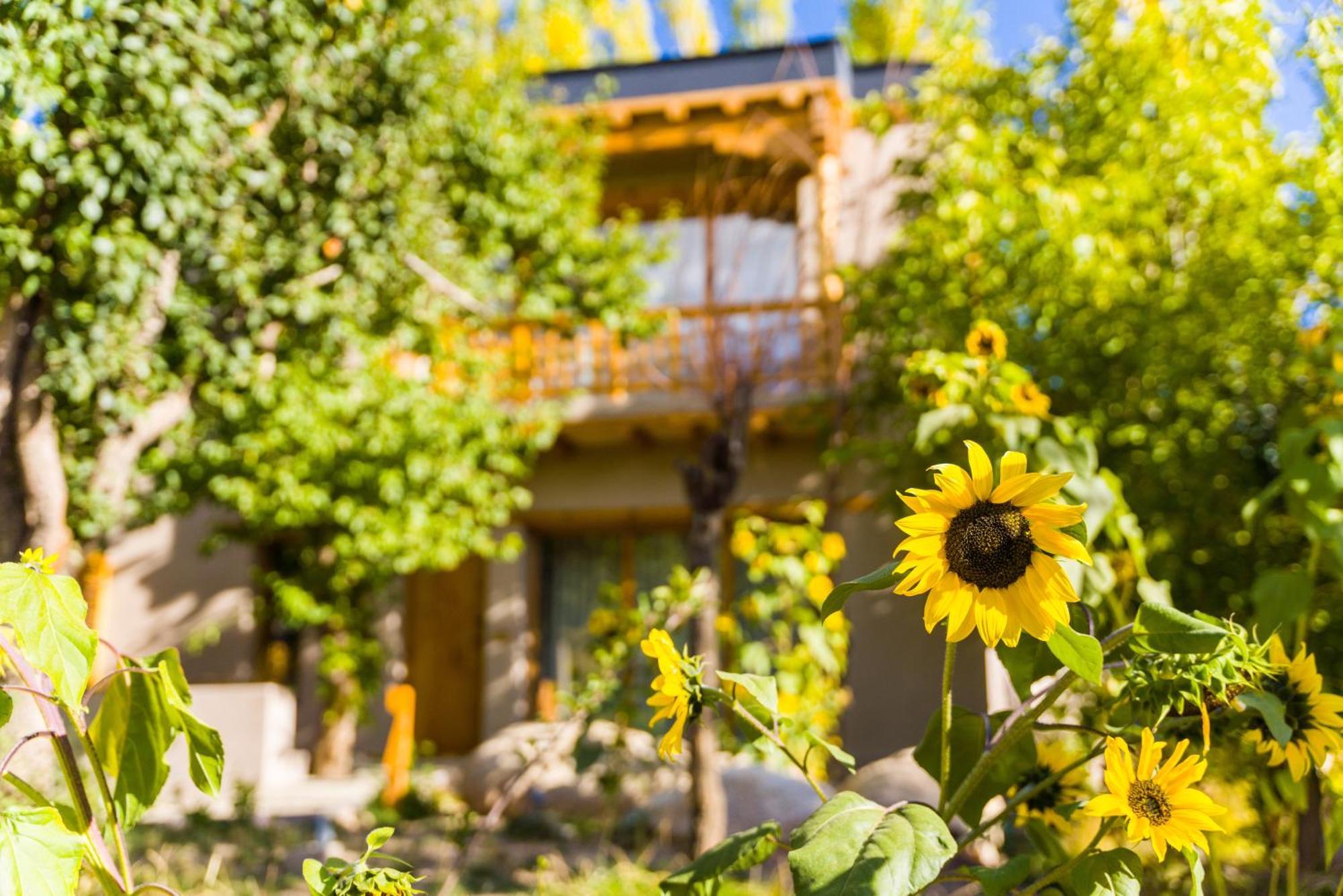 Dolkhar Resort Leh Ngoại thất bức ảnh